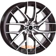 Lizardo XH143