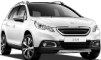 Шины для PEUGEOT 2008
