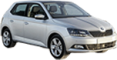 Шины для SKODA Fabia