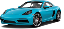 Шины для PORSCHE 718