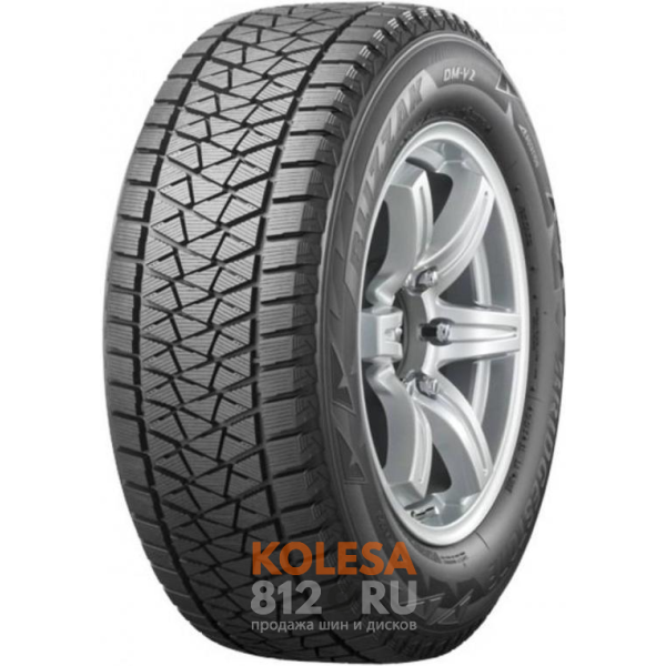 Шины Bridgestone Blizzak DM-V2 - основное изображение