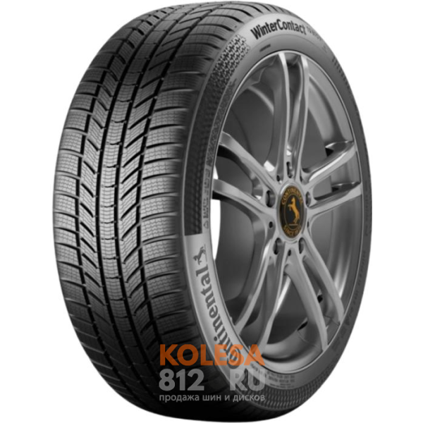Шины Continental ContiWinterContact TS 870 P - основное изображение