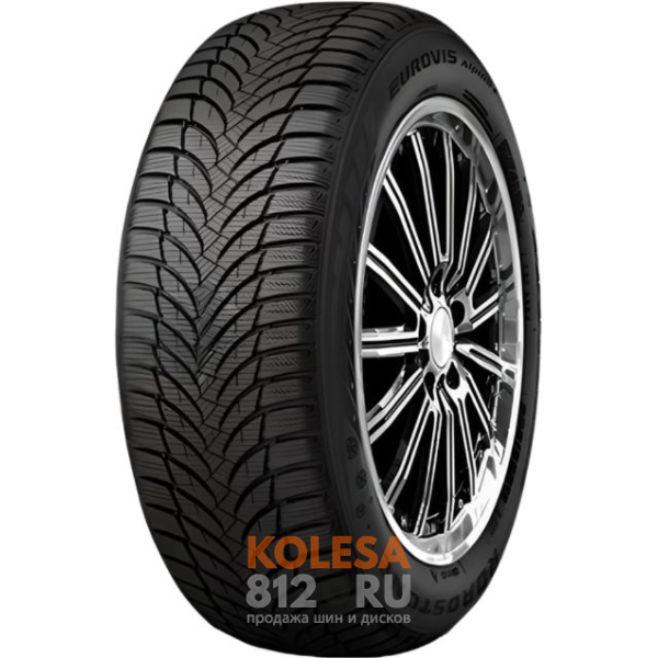 Шины Roadstone Eurovis Alpine 2 - основное изображение