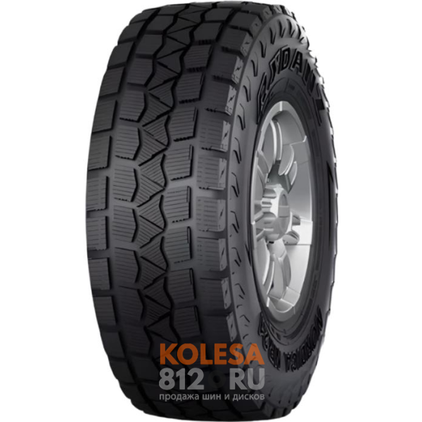 Шины Rydanz Nordica NR21