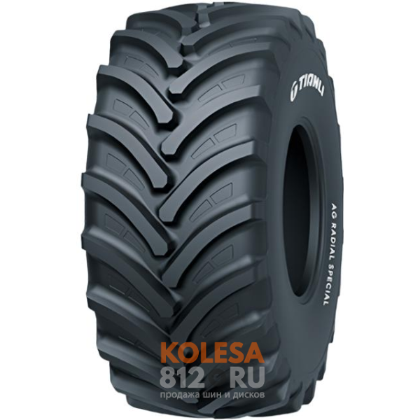 Шины Tianli AG Radial Special R-1 - основное изображение