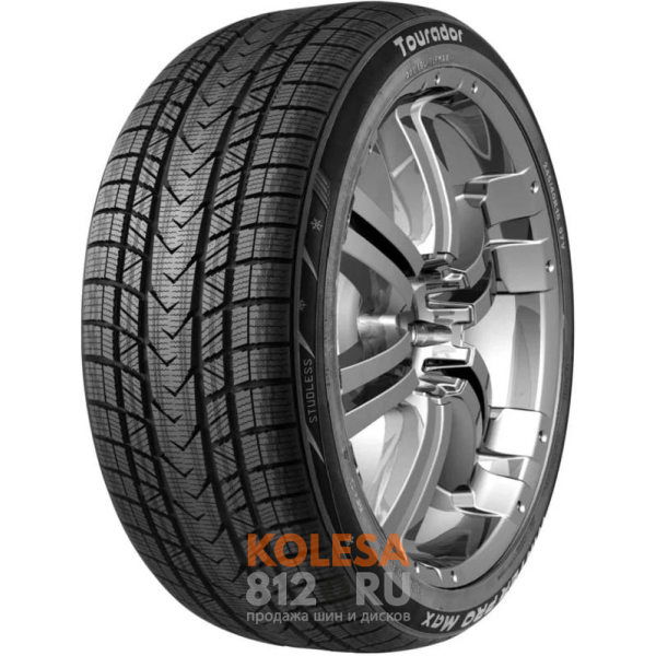 Шины Tourador Winter Pro Max