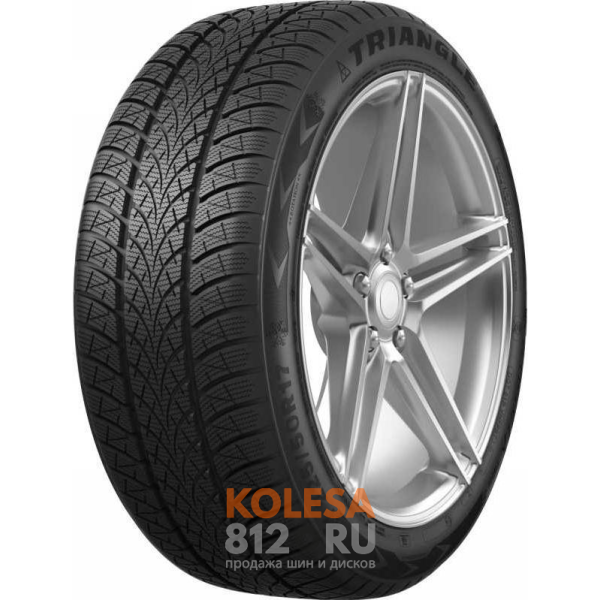 Шины Triangle WinterX TW401