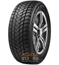 Delinte Winter WD1