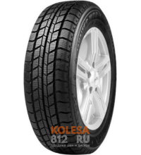 Delinte Winter WD2