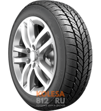 ROADX RXFrost WH01