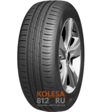 ROADX RXMotion H11
