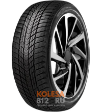 Roadstone Winguard Ice Plus